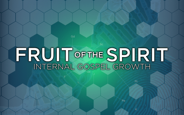 Fruit of the Spirit - SELF-CONTROL Image